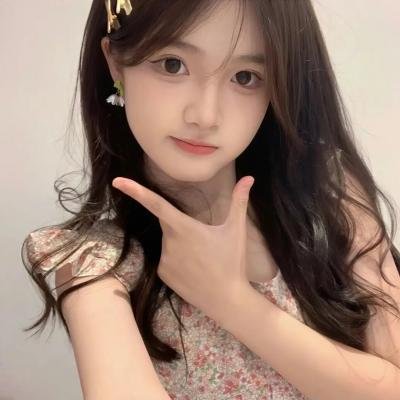 最后的维米尔